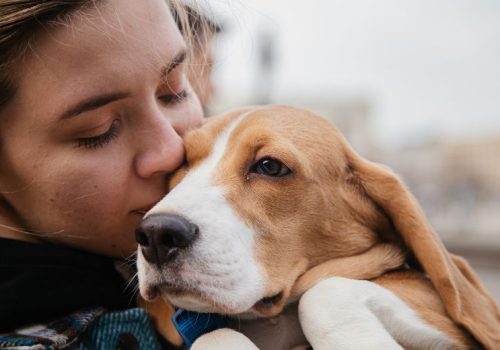 Diseño sin título (25)