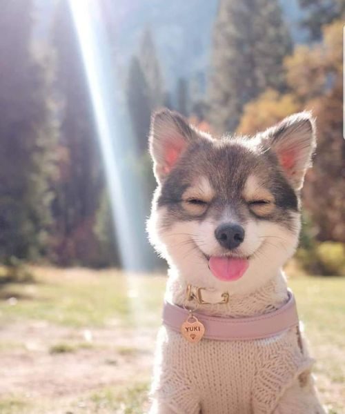 Diseño sin título (28)